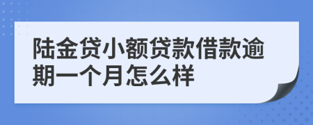 陆金贷小额贷款借款逾期一个月怎么样