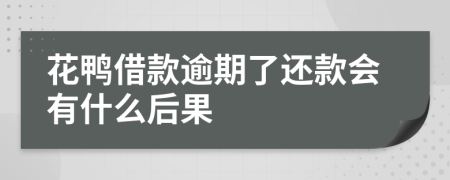 花鸭借款逾期了还款会有什么后果