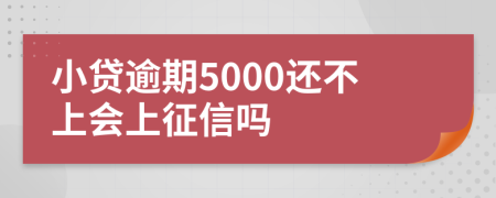 小贷逾期5000还不上会上征信吗