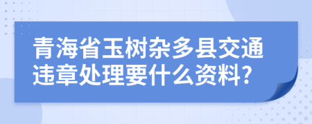 青海省玉树杂多县交通违章处理要什么资料?