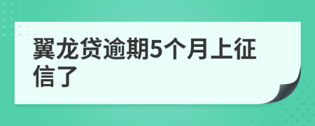 翼龙贷逾期5个月上征信了