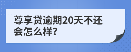 尊享贷逾期20天不还会怎么样？