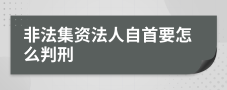 非法集资法人自首要怎么判刑