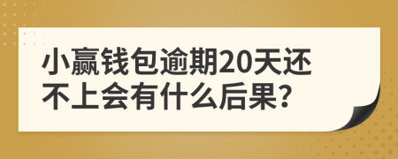 小赢钱包逾期20天还不上会有什么后果？