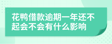 花鸭借款逾期一年还不起会不会有什么影响