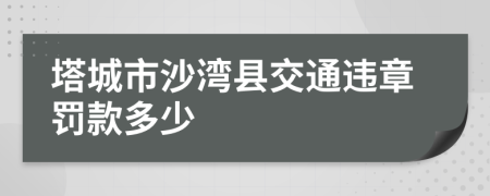 塔城市沙湾县交通违章罚款多少