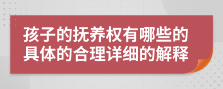 孩子的抚养权有哪些的具体的合理详细的解释