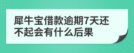 犀牛宝借款逾期7天还不起会有什么后果