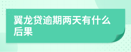 翼龙贷逾期两天有什么后果