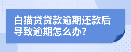 白猫贷贷款逾期还款后导致逾期怎么办？