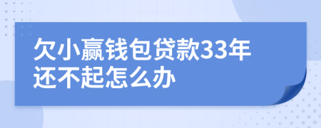 欠小赢钱包贷款33年还不起怎么办