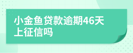 小金鱼贷款逾期46天上征信吗