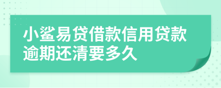 小鲨易贷借款信用贷款逾期还清要多久