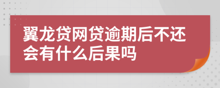 翼龙贷网贷逾期后不还会有什么后果吗