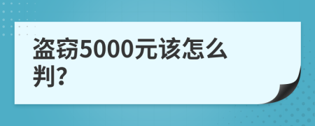 盗窃5000元该怎么判？