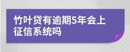 竹叶贷有逾期5年会上征信系统吗