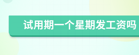 试用期一个星期发工资吗