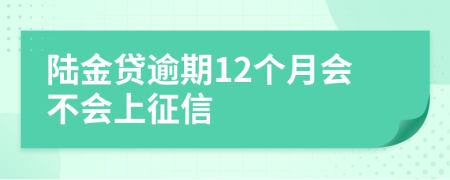 陆金贷逾期12个月会不会上征信