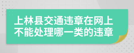 上林县交通违章在网上不能处理哪一类的违章
