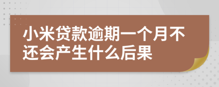小米贷款逾期一个月不还会产生什么后果