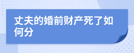 丈夫的婚前财产死了如何分