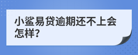 小鲨易贷逾期还不上会怎样？