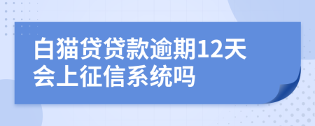 白猫贷贷款逾期12天会上征信系统吗