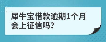 犀牛宝借款逾期1个月会上征信吗？