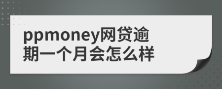 ppmoney网贷逾期一个月会怎么样