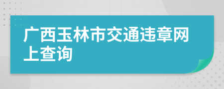 广西玉林市交通违章网上查询