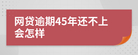 网贷逾期45年还不上会怎样