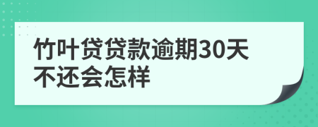 竹叶贷贷款逾期30天不还会怎样