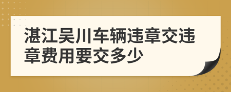 湛江吴川车辆违章交违章费用要交多少