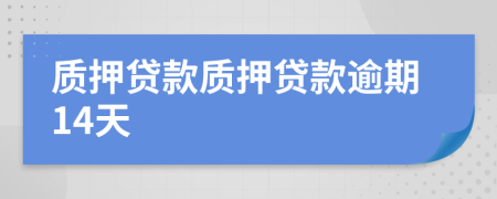 质押贷款质押贷款逾期14天