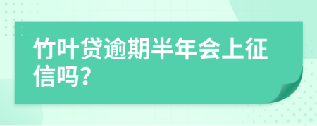 竹叶贷逾期半年会上征信吗？