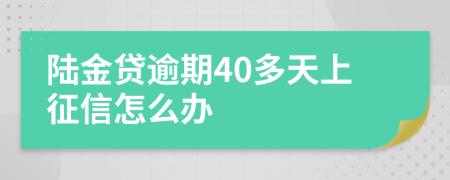 陆金贷逾期40多天上征信怎么办