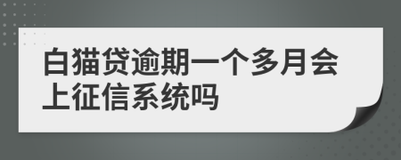 白猫贷逾期一个多月会上征信系统吗