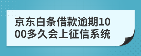 京东白条借款逾期1000多久会上征信系统