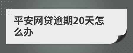 平安网贷逾期20天怎么办