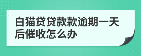 白猫贷贷款款逾期一天后催收怎么办