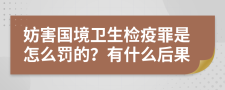 妨害国境卫生检疫罪是怎么罚的？有什么后果