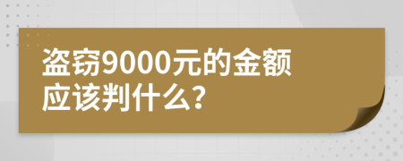 盗窃9000元的金额应该判什么？