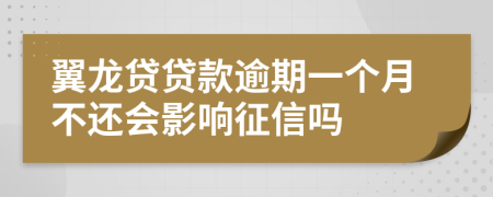 翼龙贷贷款逾期一个月不还会影响征信吗