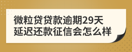 微粒贷贷款逾期29天延迟还款征信会怎么样