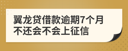 翼龙贷借款逾期7个月不还会不会上征信