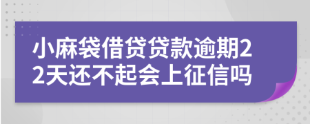 小麻袋借贷贷款逾期22天还不起会上征信吗