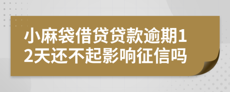 小麻袋借贷贷款逾期12天还不起影响征信吗