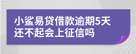 小鲨易贷借款逾期5天还不起会上征信吗