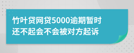 竹叶贷网贷5000逾期暂时还不起会不会被对方起诉