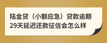 陆金贷（小额应急）贷款逾期29天延迟还款征信会怎么样